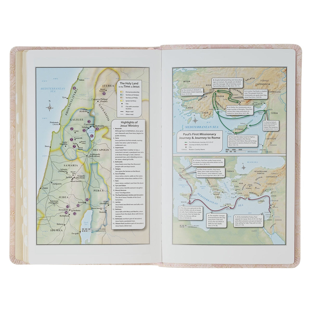 Pale Pink Floral Faux Leather King James Version Deluxe Gift Bible with Thumb Index