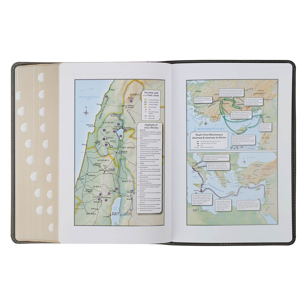 Black and Gray Faux Leather King James Study Bible with Thumb Index