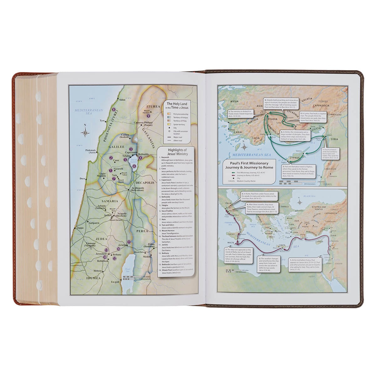 Dark Brown and Honey Brown Faux Leather Large Print King James Version Study Bible with Thumb Index