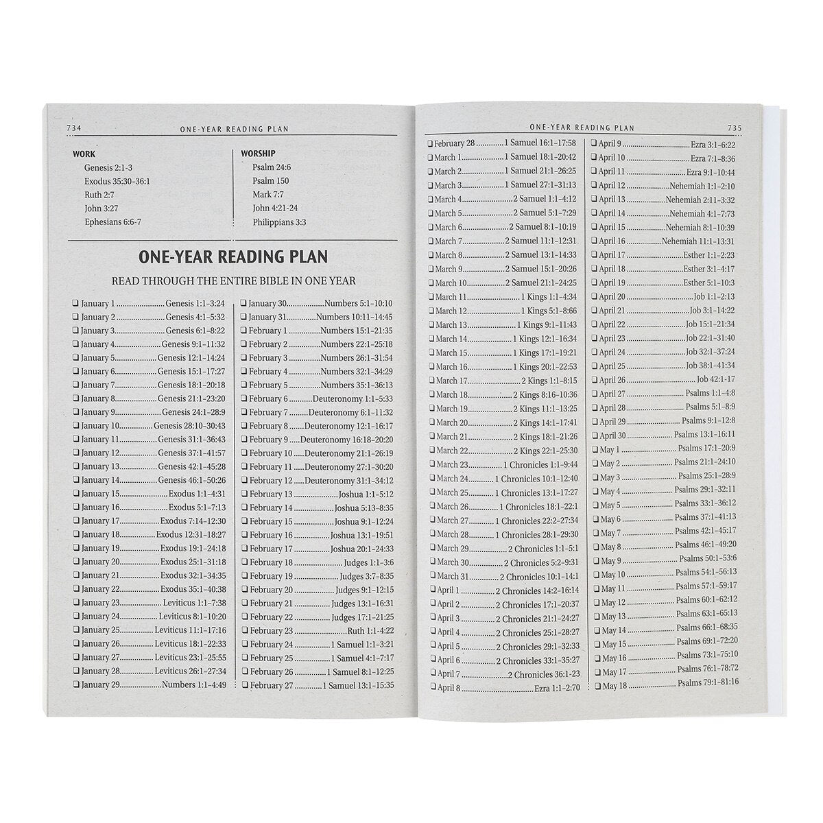 Lion Softcover King James Version Outreach Bible