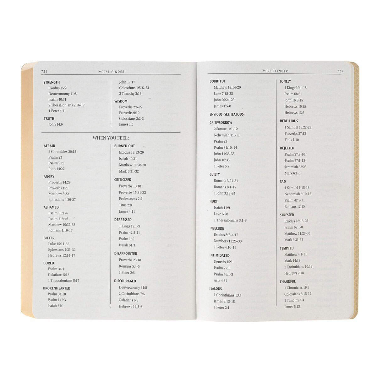 Chestnut Brown Faux Leather King James Version Gift Bible