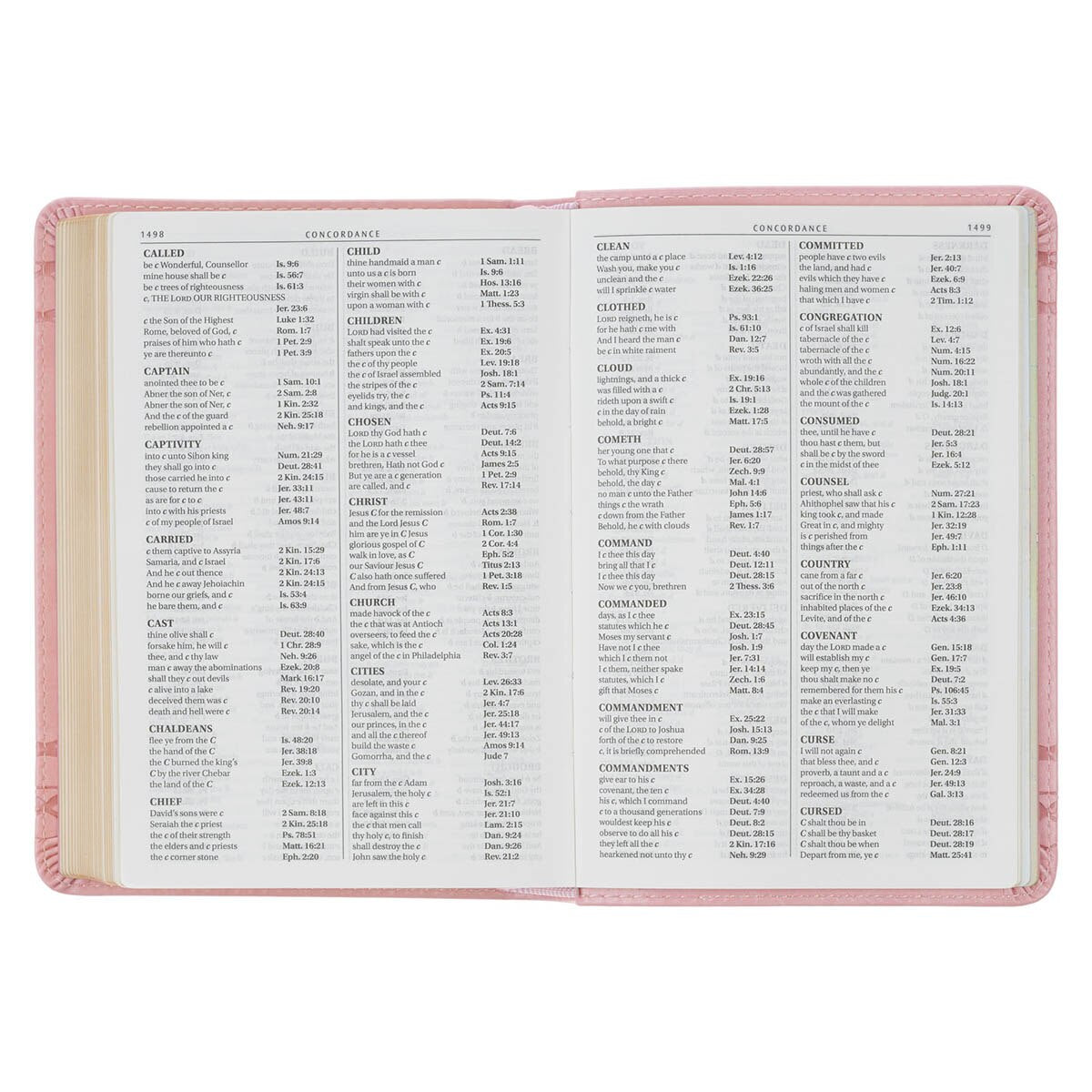 Crown of Thorns Pink faux Leather Large Print Compact King James Bible