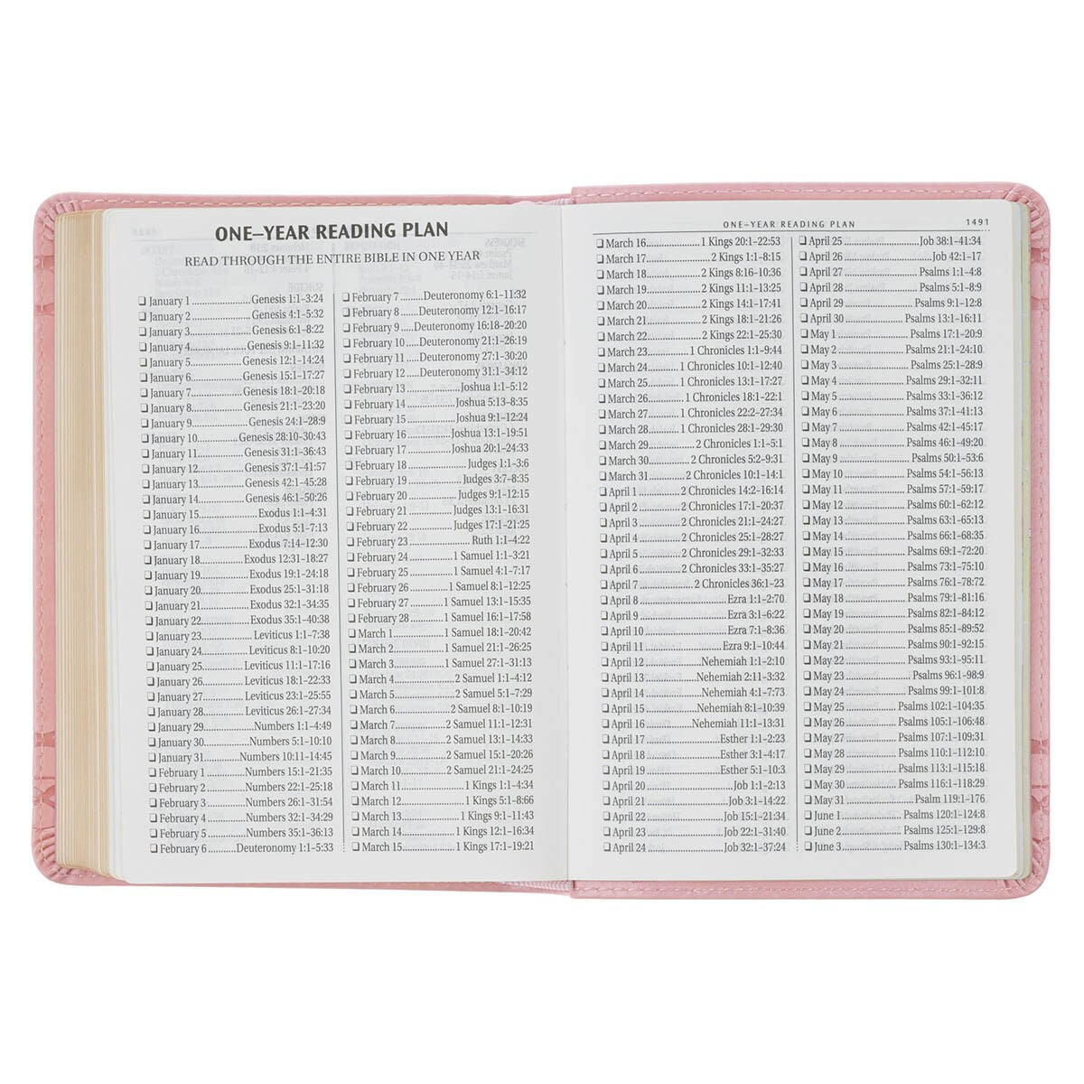 Crown of Thorns Pink faux Leather Large Print Compact King James Bible
