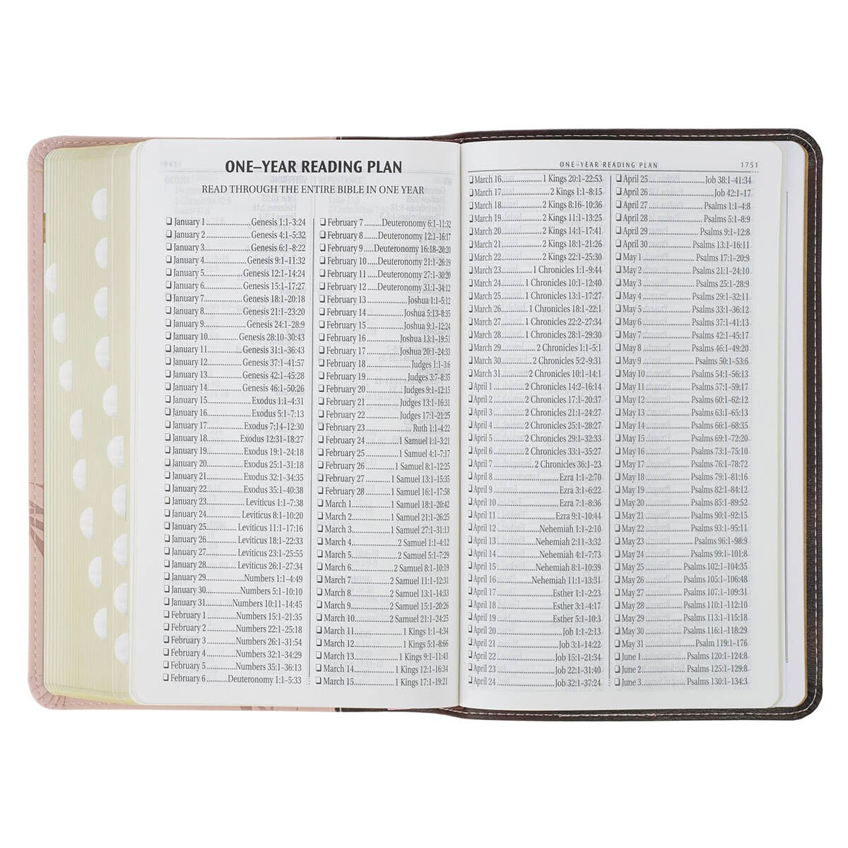 Espresso and Pink Faux Leather Standard-size King James Version Bible with Thumb Index