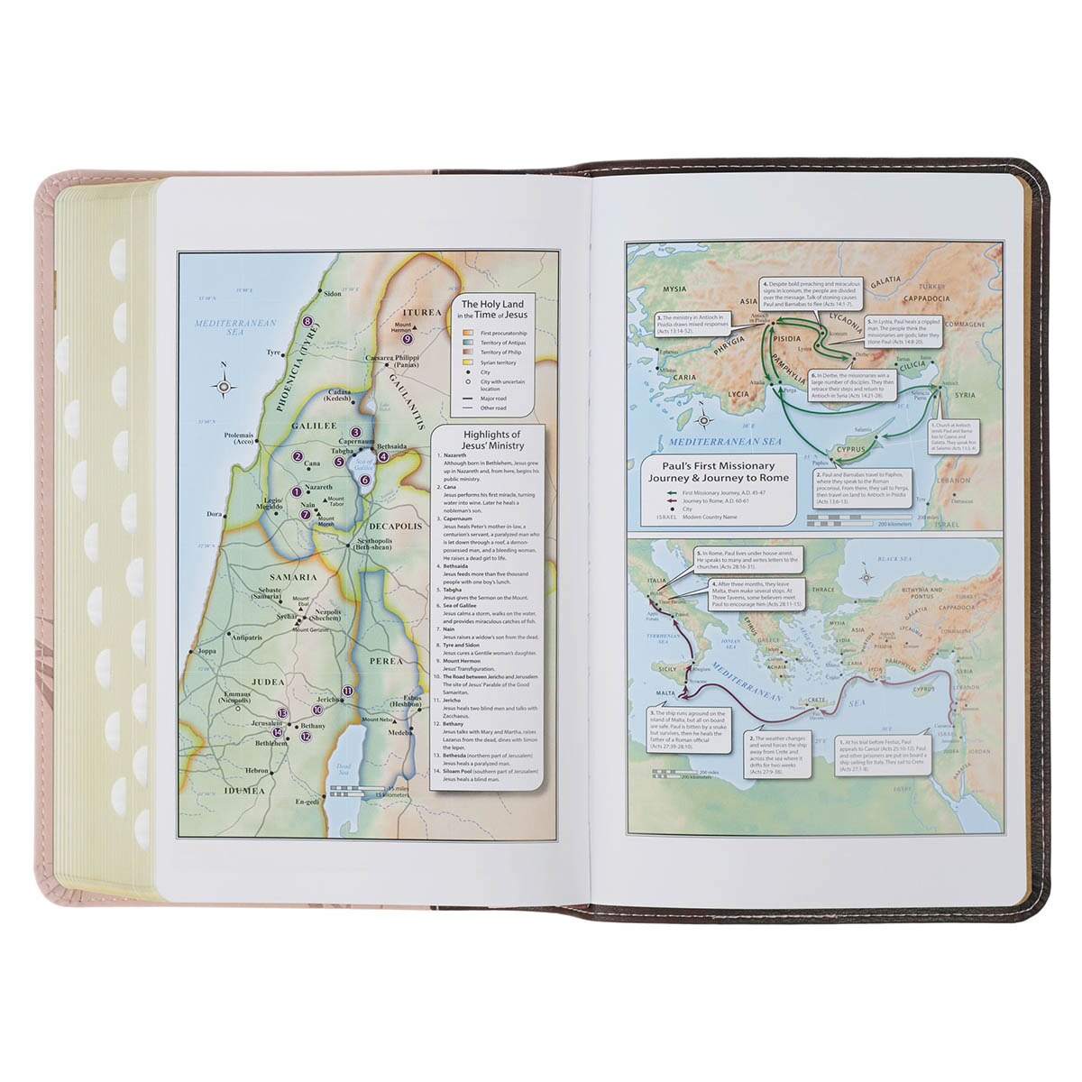 Espresso and Pink Faux Leather Standard-size King James Version Bible with Thumb Index