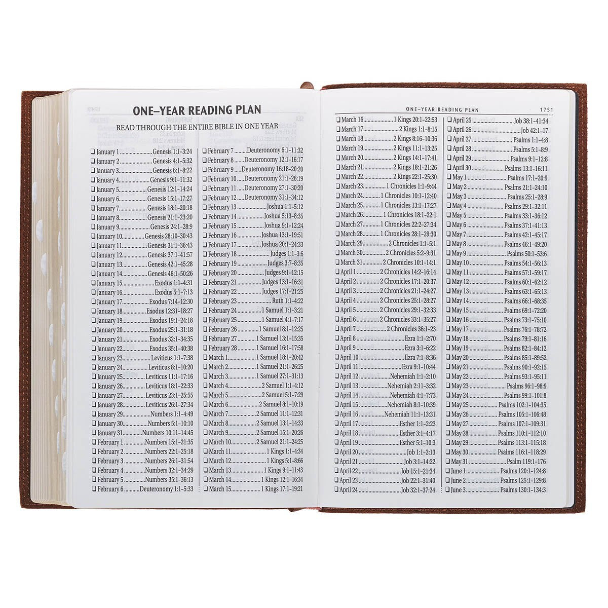 Chestnut Brown Full-grain Leather Giant Print Standard-size King James Version Bible with Thumb Index