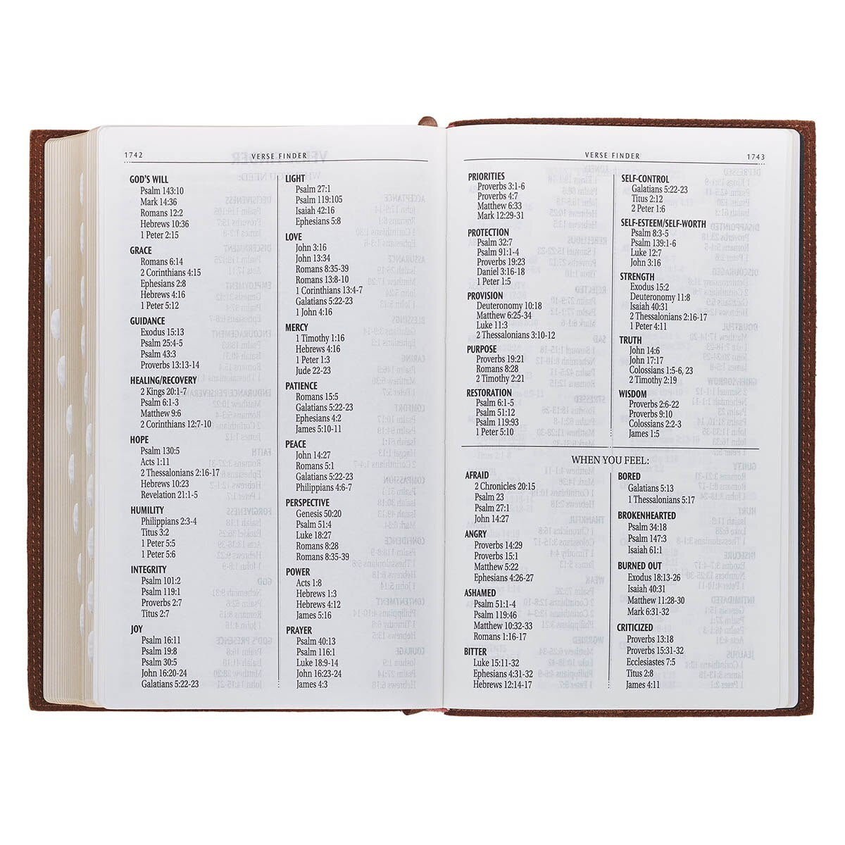 Chestnut Brown Full-grain Leather Giant Print Standard-size King James Version Bible with Thumb Index