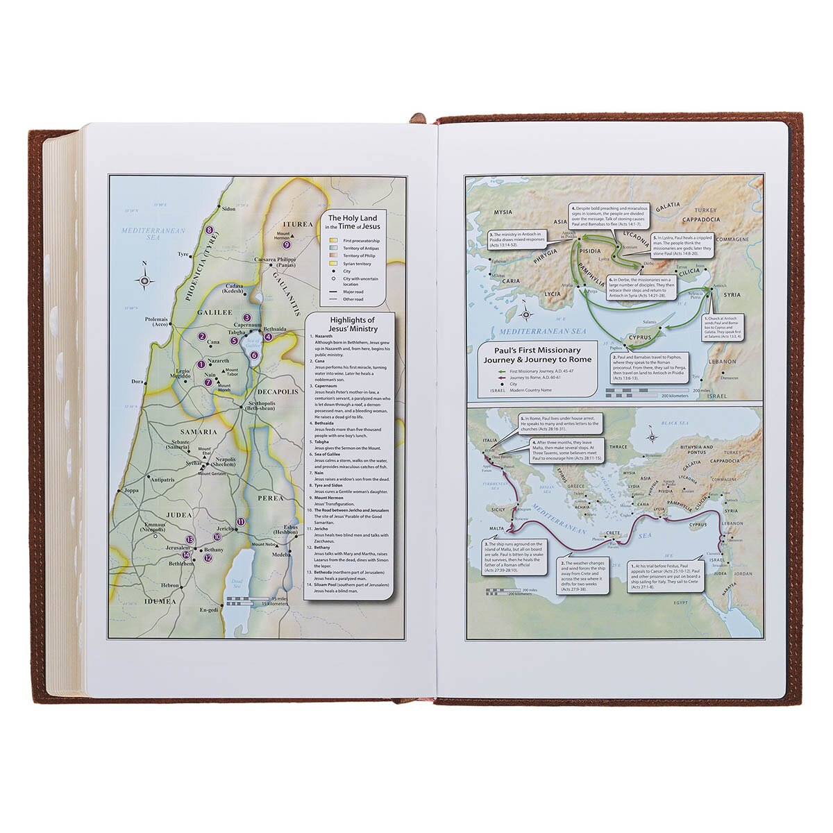 Chestnut Brown Full-grain Leather Giant Print Standard-size King James Version Bible with Thumb Index