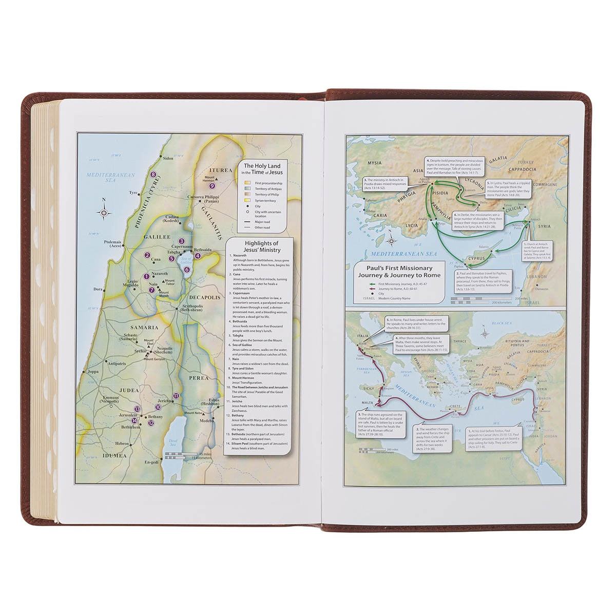 Triple Pane Frame Saddle Tan Full-grain Leather King James Version Deluxe Gift Bible with Thumb Index