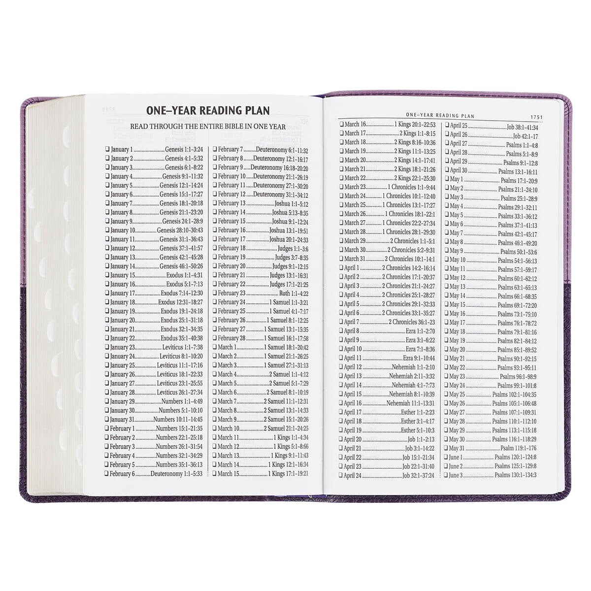 Two-Tone Purple Giant Print Standard Size King James Version Bible