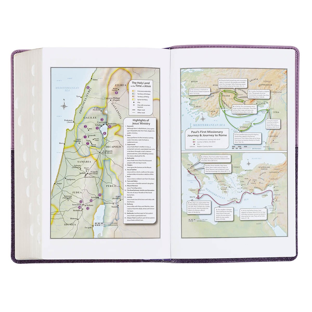 Two-Tone Purple Giant Print Standard Size King James Version Bible