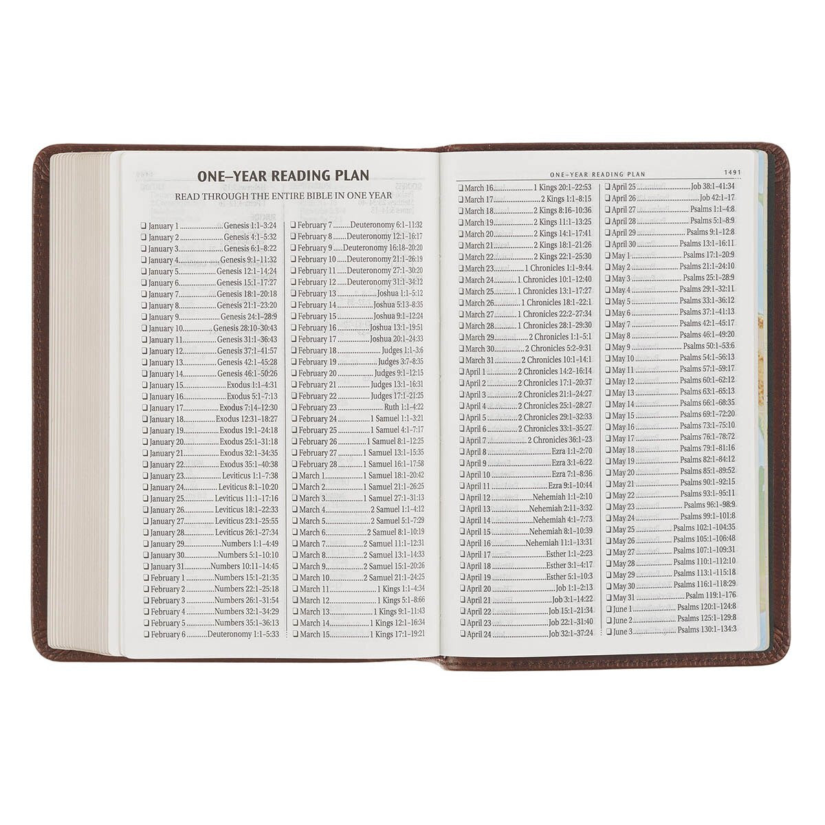 Mahogany Brown Genuine Leather Large Print Compact Bible