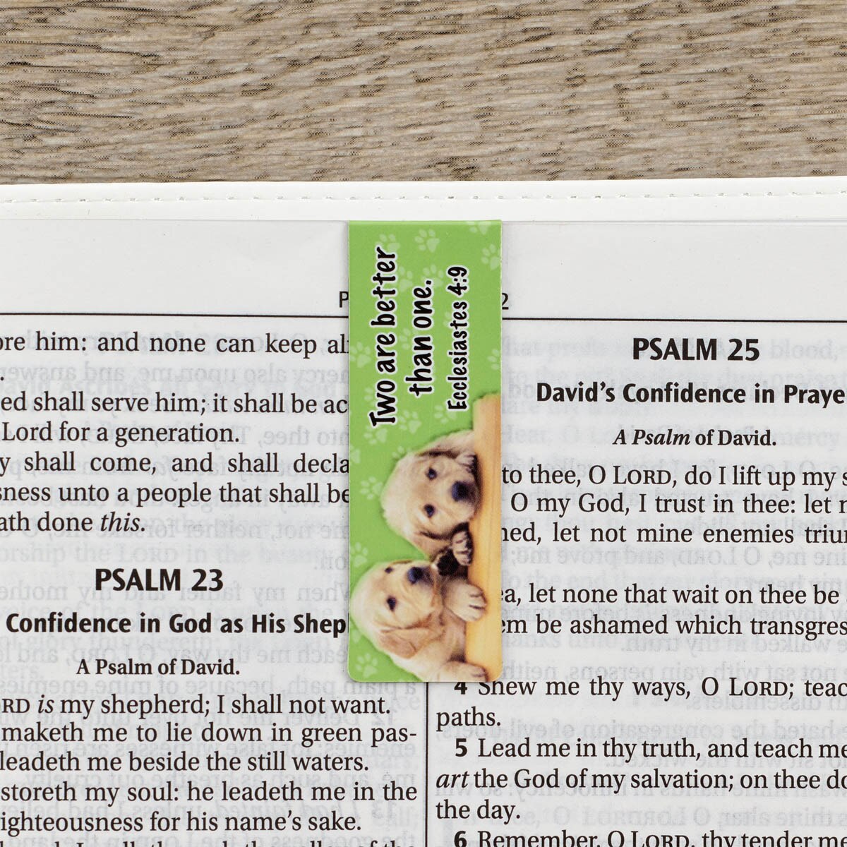 Special Treasure Magnetic Bookmark Set = Deuteronomy 14:2