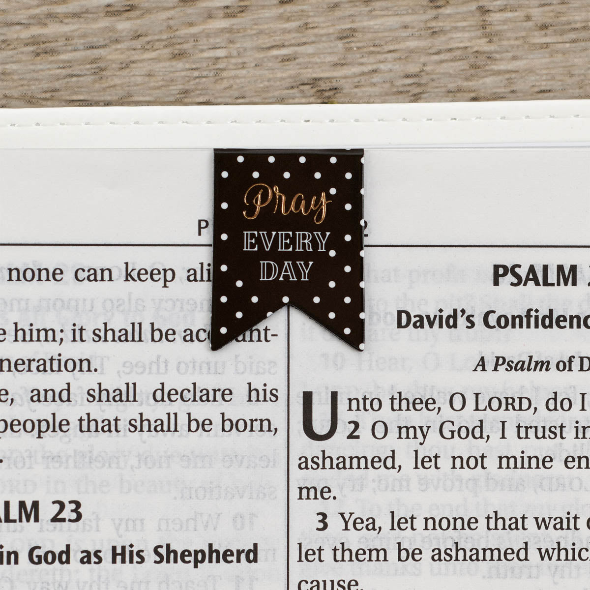 Pray Every Day Petite Die-cut Magnetic Bookmark Set