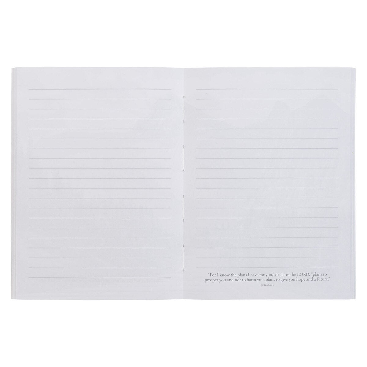 Hope and a Future Mountain Path Medium Notebook - Jeremiah 29:11