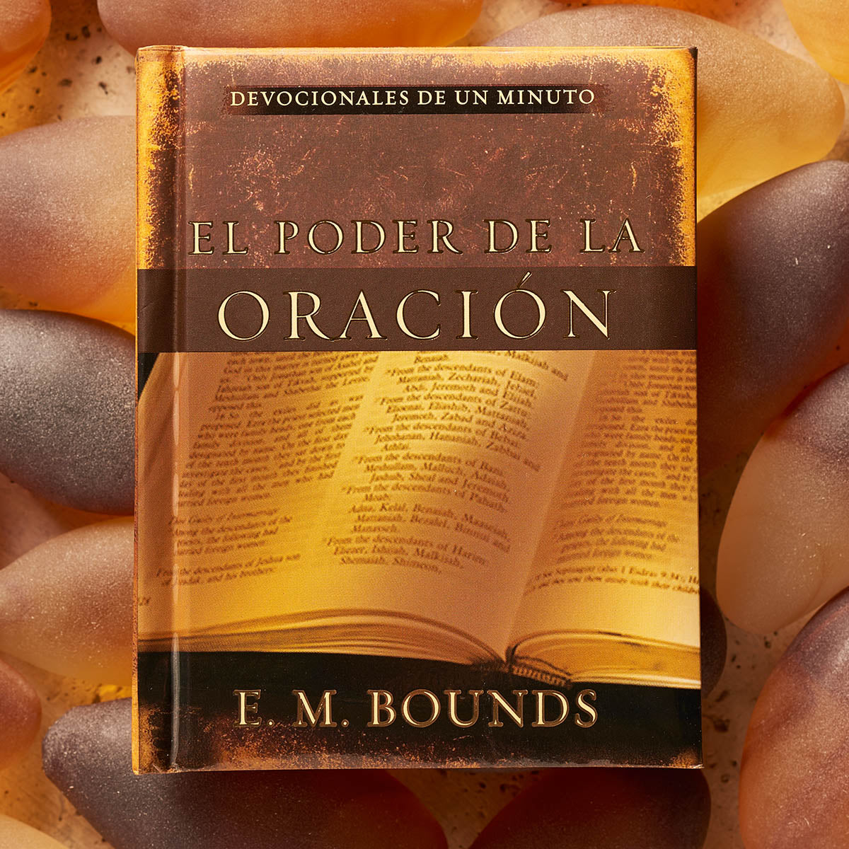 El poder de la oración (Tapa dura)