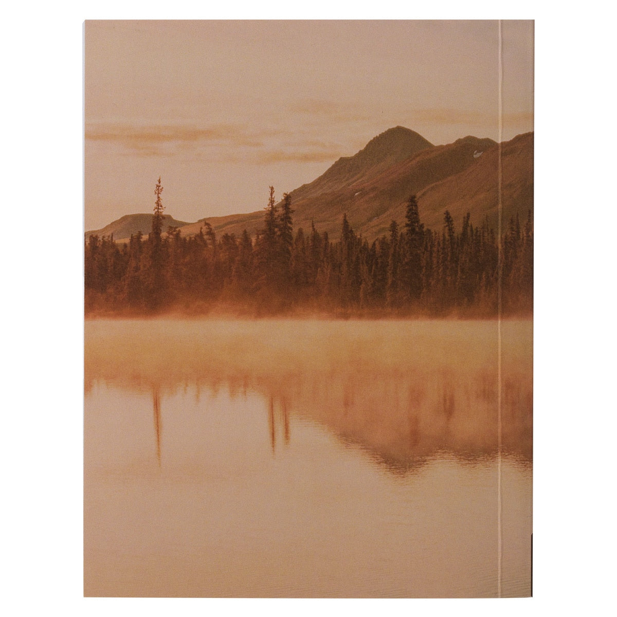 The Power of Prayer Brown Softcover One-minute Devotions