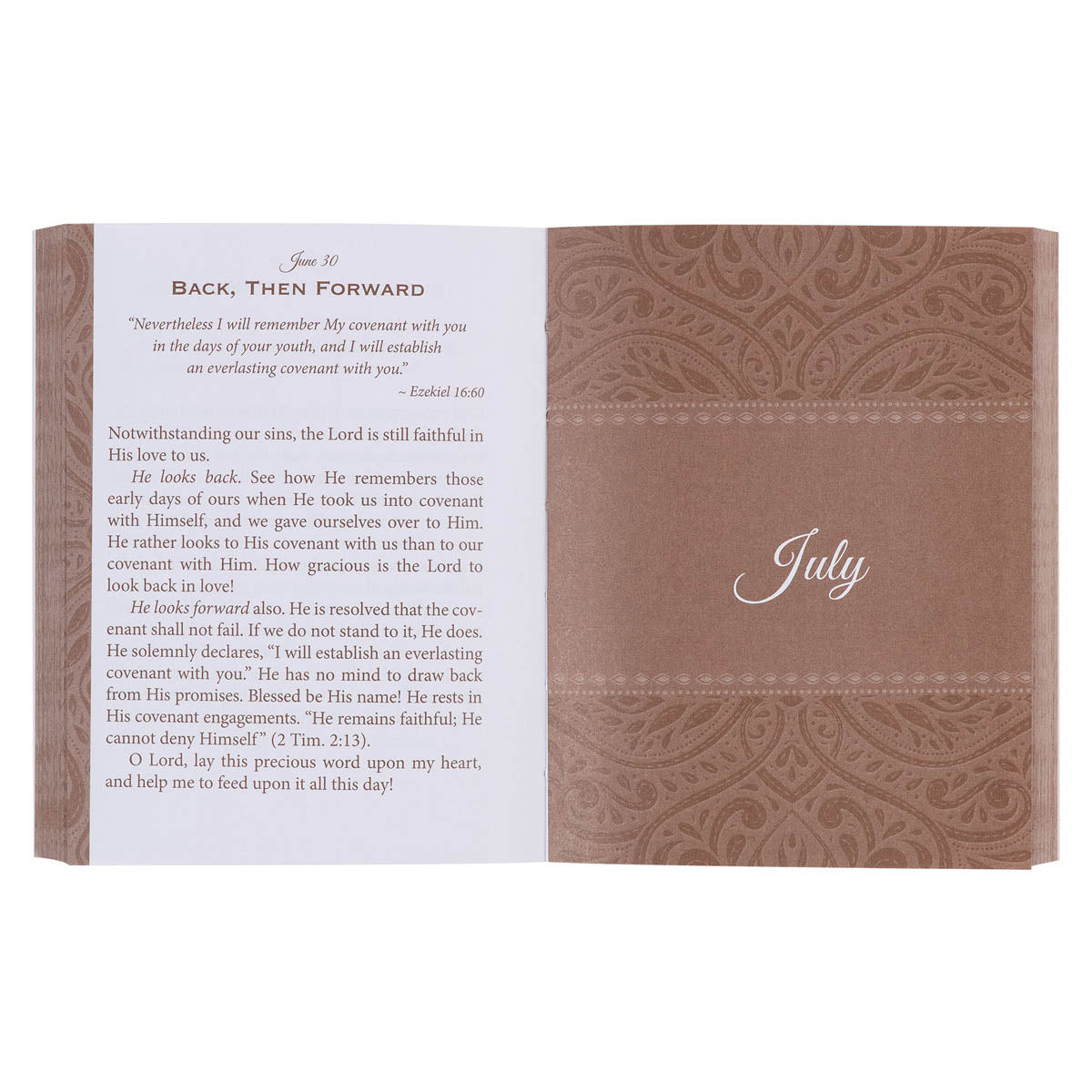 Faith's Checkbook Brown Softcover One-Minute Devotions