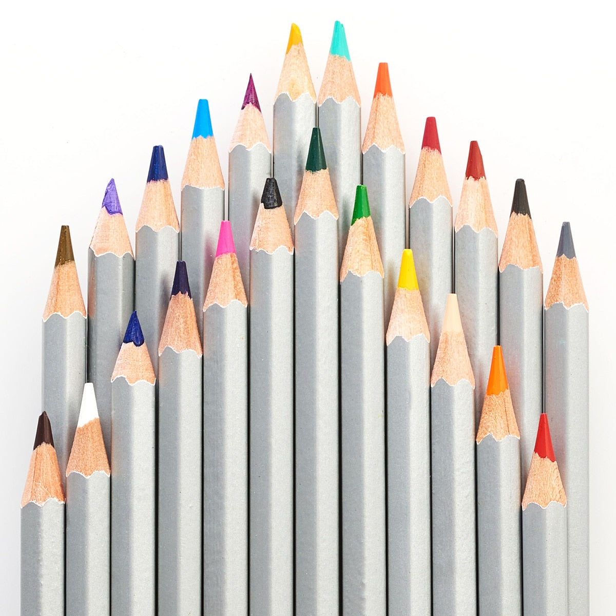Veritas Coloring Pencils - Set of 24