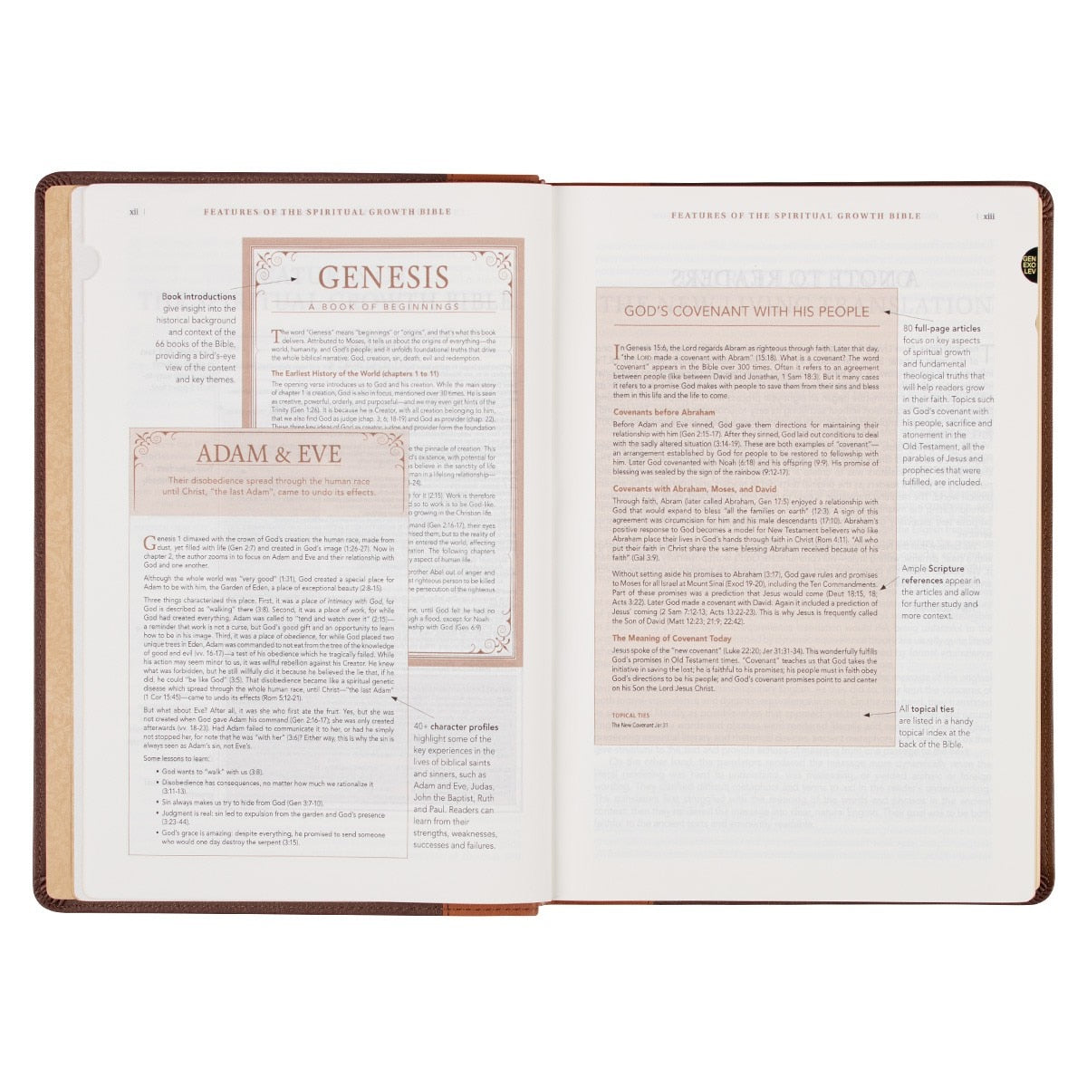 Two-tone Espresso and Toffee Brown Faux Leather Spiritual Growth Bible