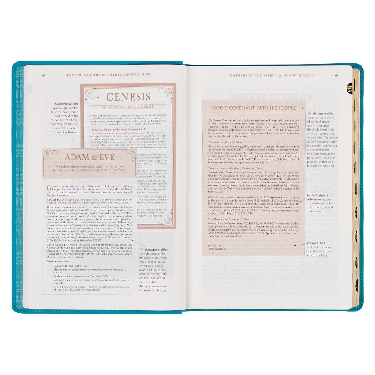 Teal Faux Leather Spiritual Growth Bible