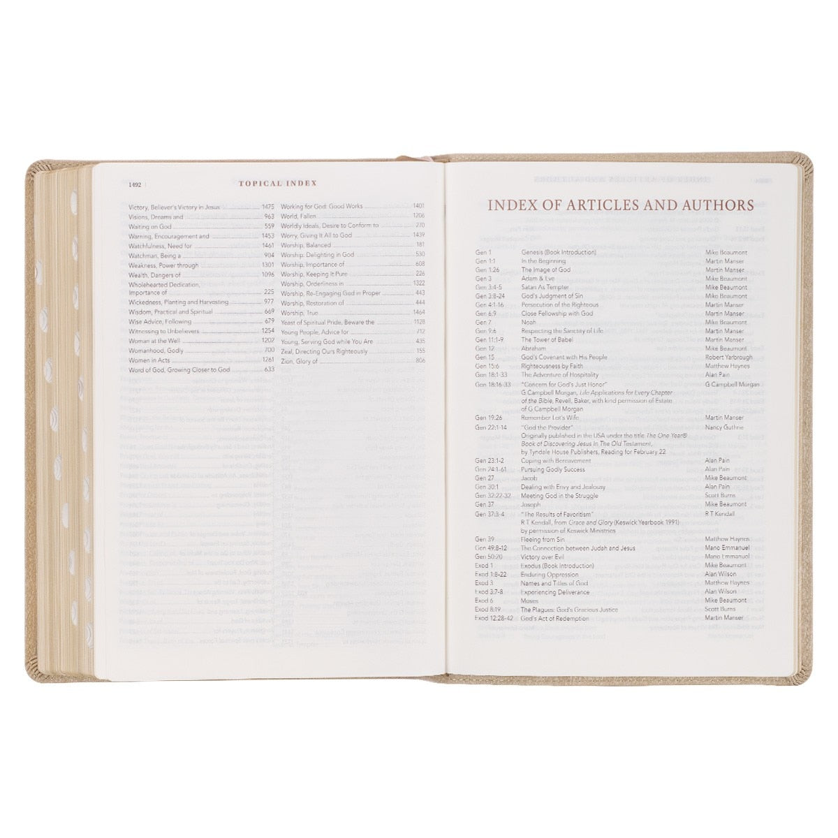 Pearlescent Taupe Faux Leather Spiritual Growth Bible