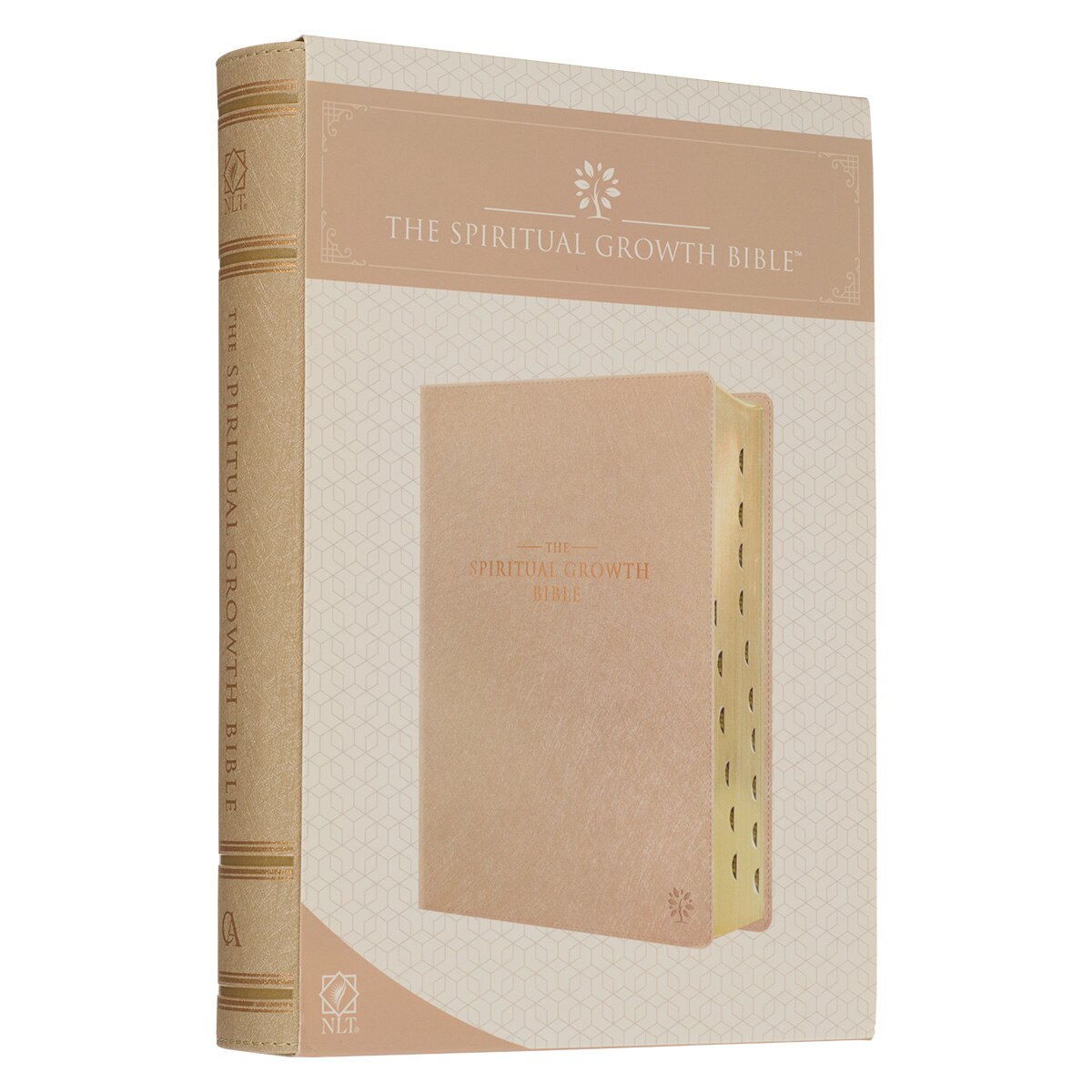 Pearlescent Taupe Faux Leather Spiritual Growth Bible