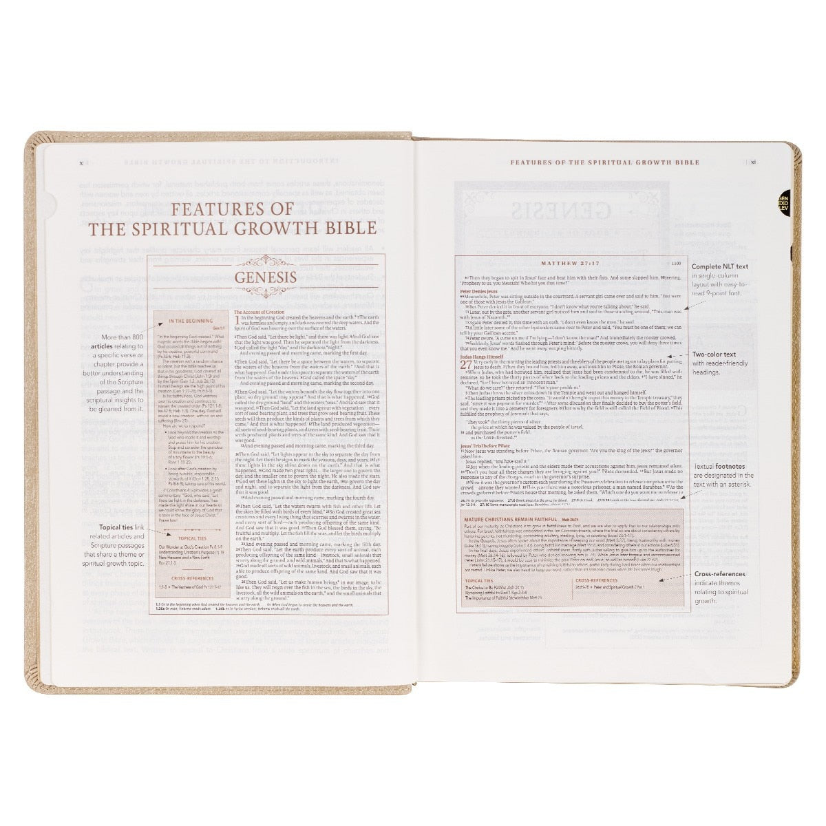 Pearlescent Taupe Faux Leather Spiritual Growth Bible