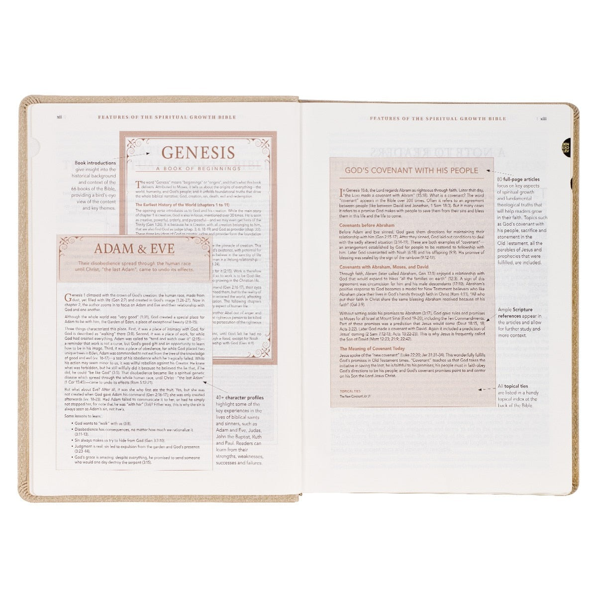 Pearlescent Taupe Faux Leather Spiritual Growth Bible
