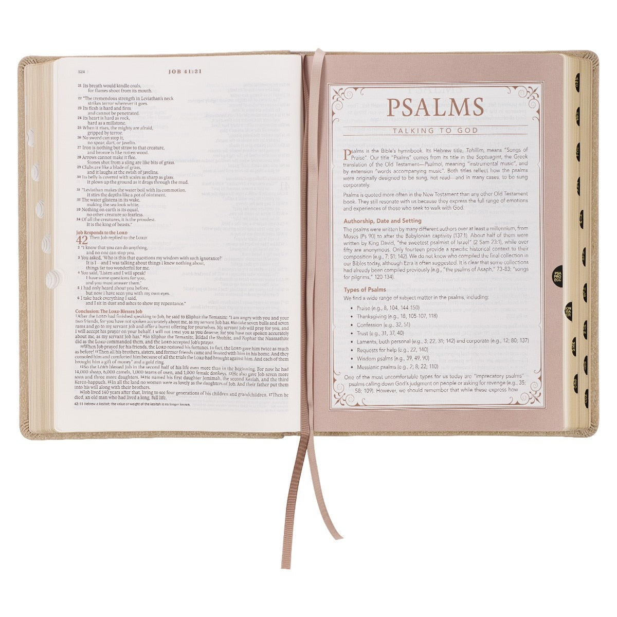 Pearlescent Taupe Faux Leather Spiritual Growth Bible