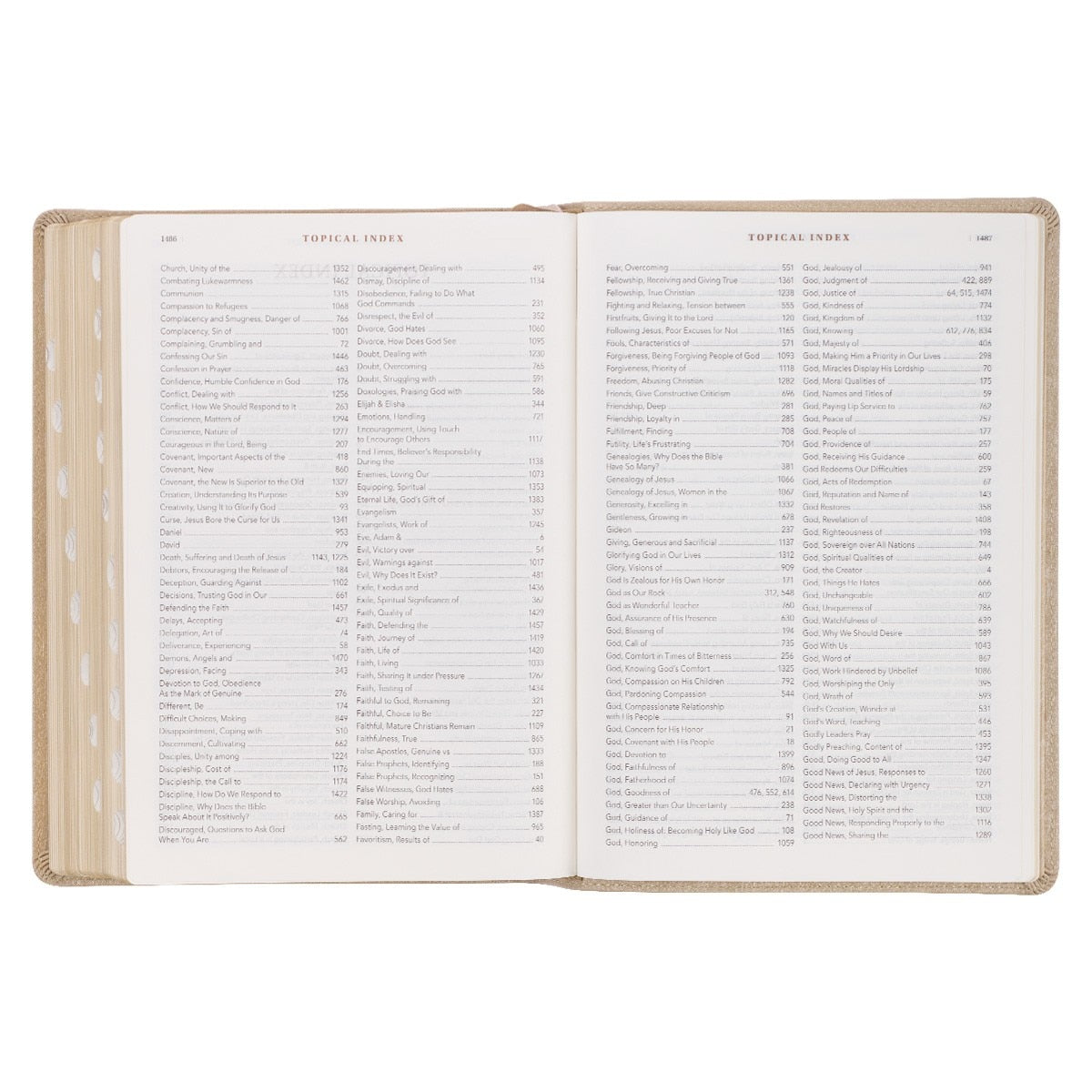 Pearlescent Taupe Faux Leather Spiritual Growth Bible