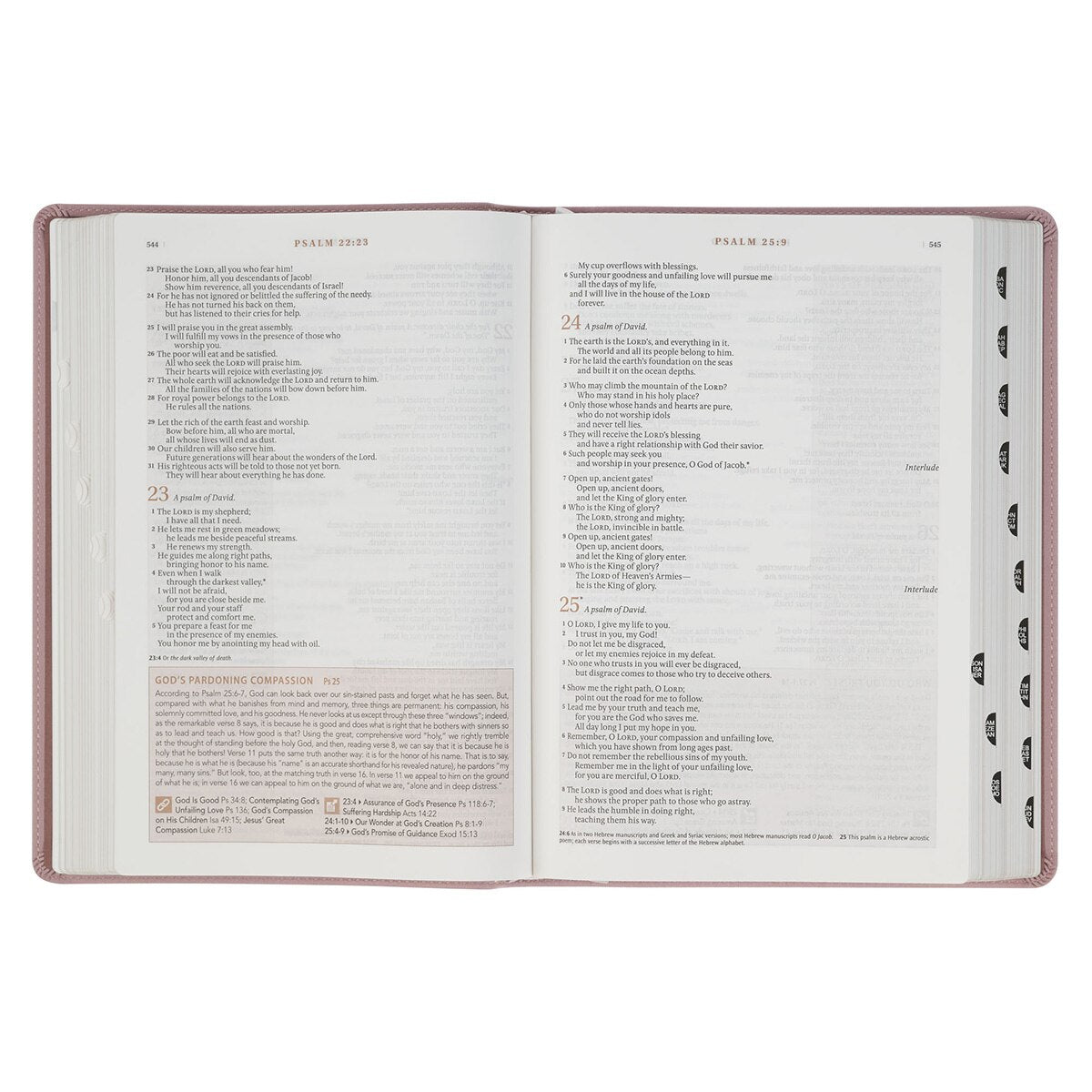 Dusty Mauve Faux Leather Spiritual Growth Bible