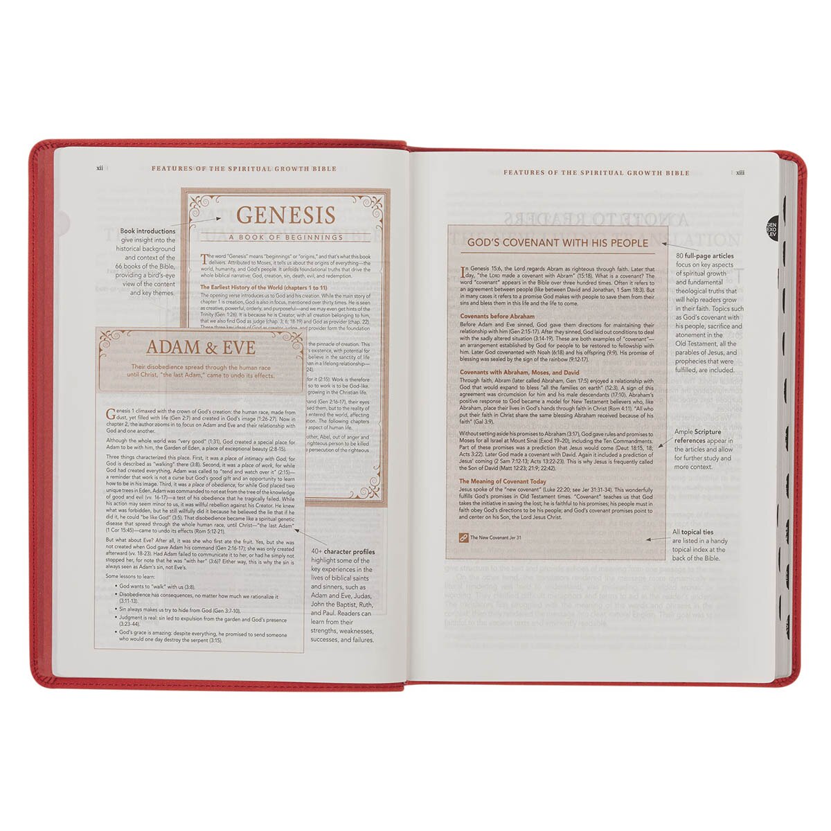 Coral Vine Faux Leather Spiritual Growth Bible