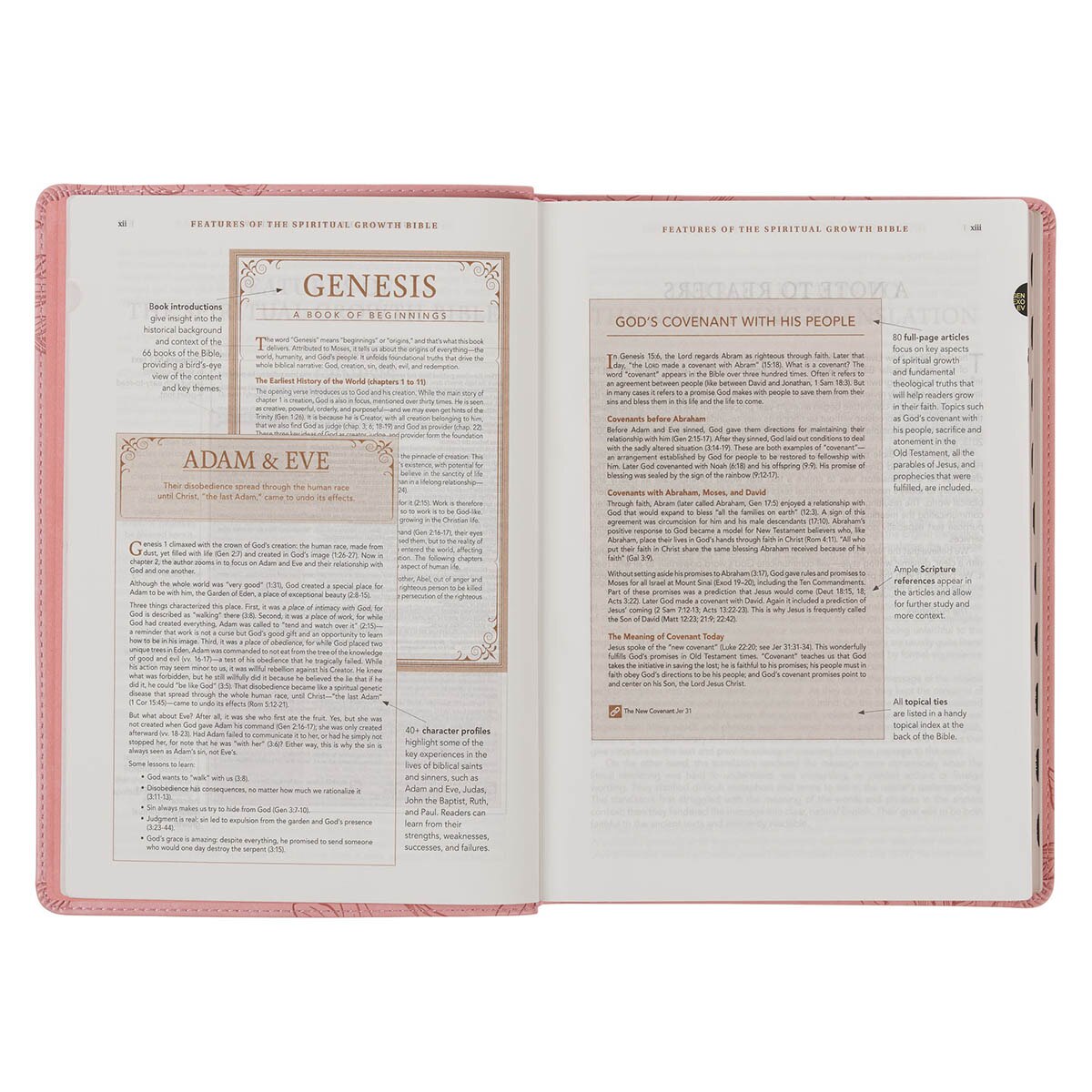 Pink Magnolia Faux Leather Spiritual Growth Bible