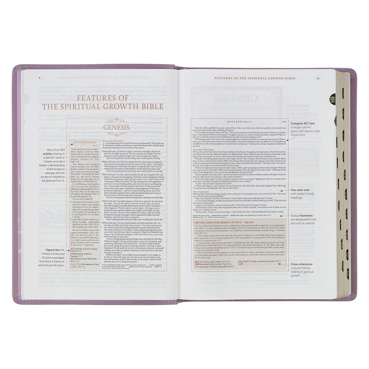 Plum Floral Faux Leather Spiritual Growth Bible