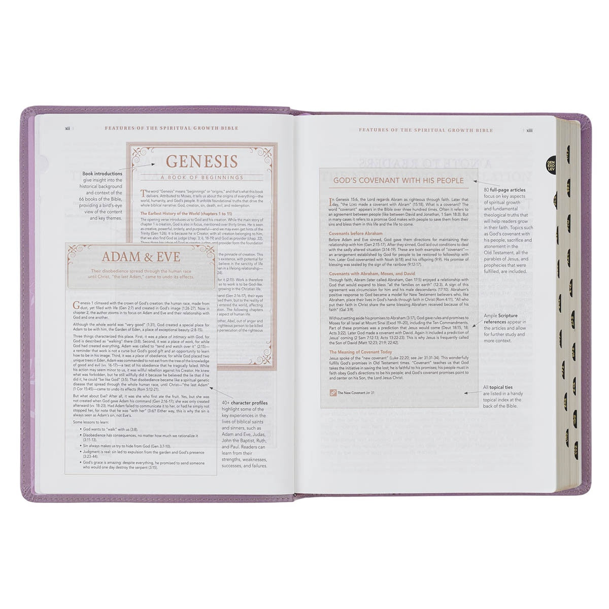 Plum Floral Faux Leather Spiritual Growth Bible