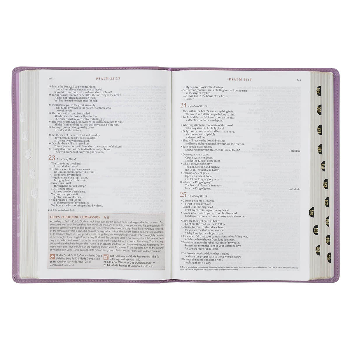 Plum Floral Faux Leather Spiritual Growth Bible