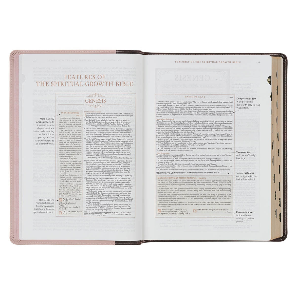 Brown and Blush Pink Faux Leather Spiritual Growth Bible