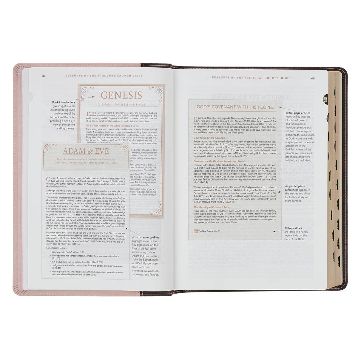 Brown and Blush Pink Faux Leather Spiritual Growth Bible