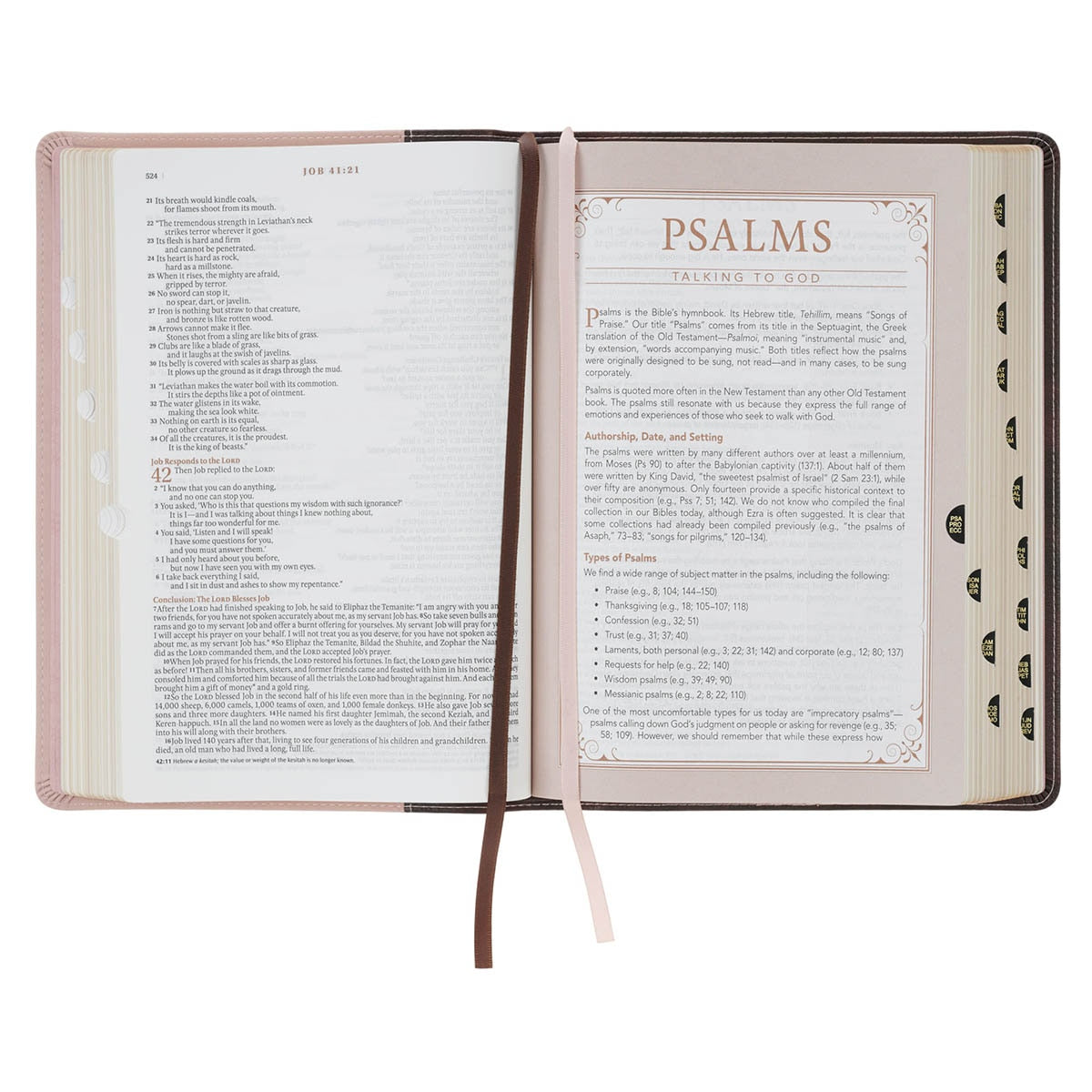 Brown and Blush Pink Faux Leather Spiritual Growth Bible