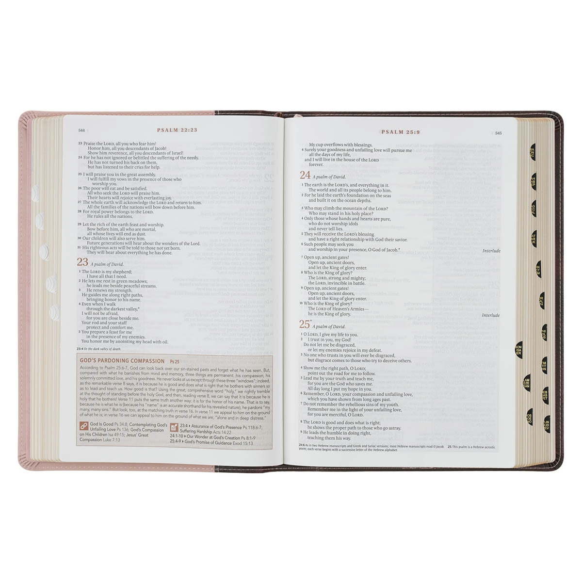 Brown and Blush Pink Faux Leather Spiritual Growth Bible