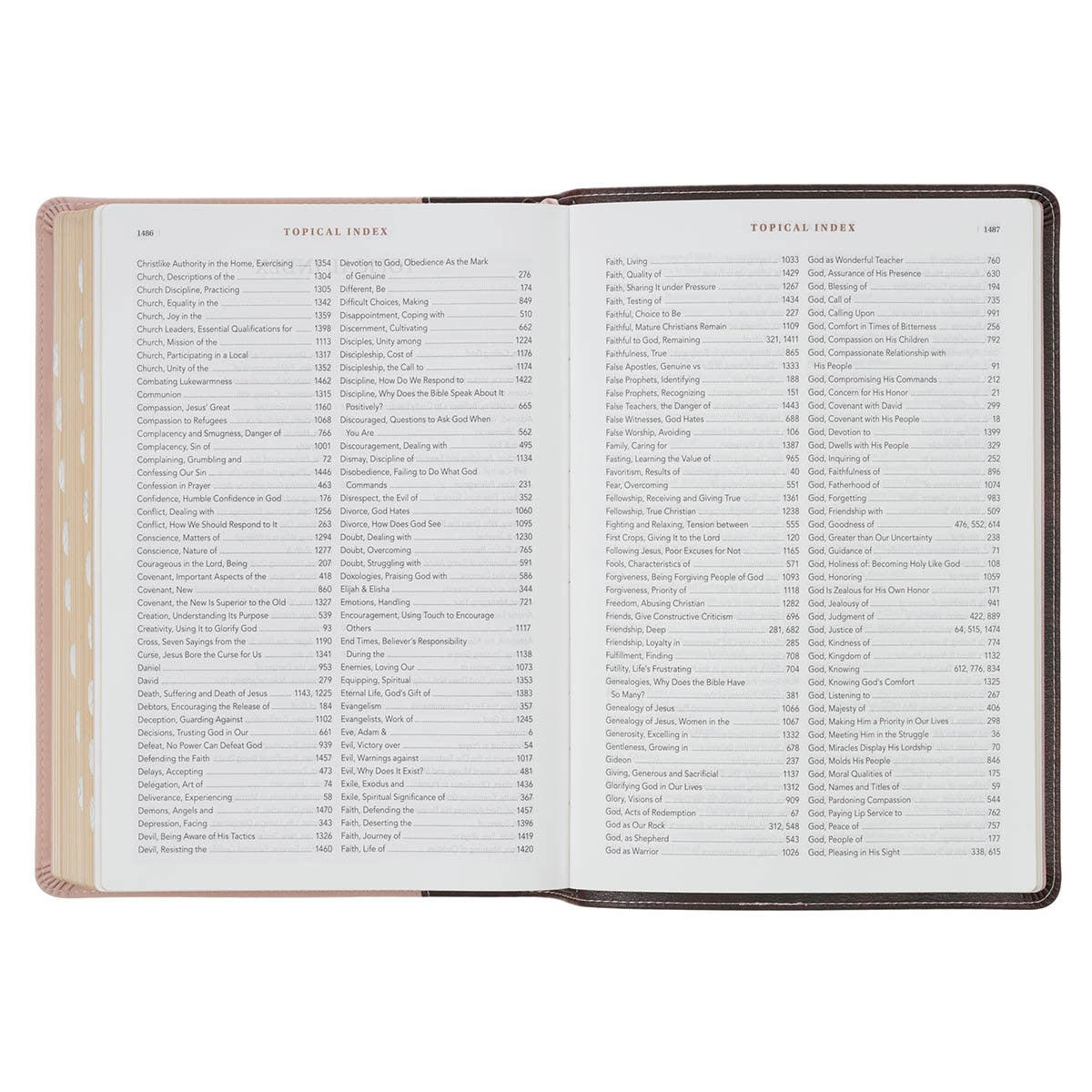 Brown and Blush Pink Faux Leather Spiritual Growth Bible