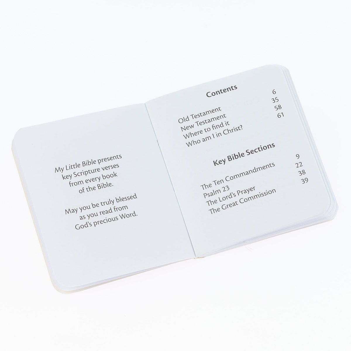 Blue My Little Bible