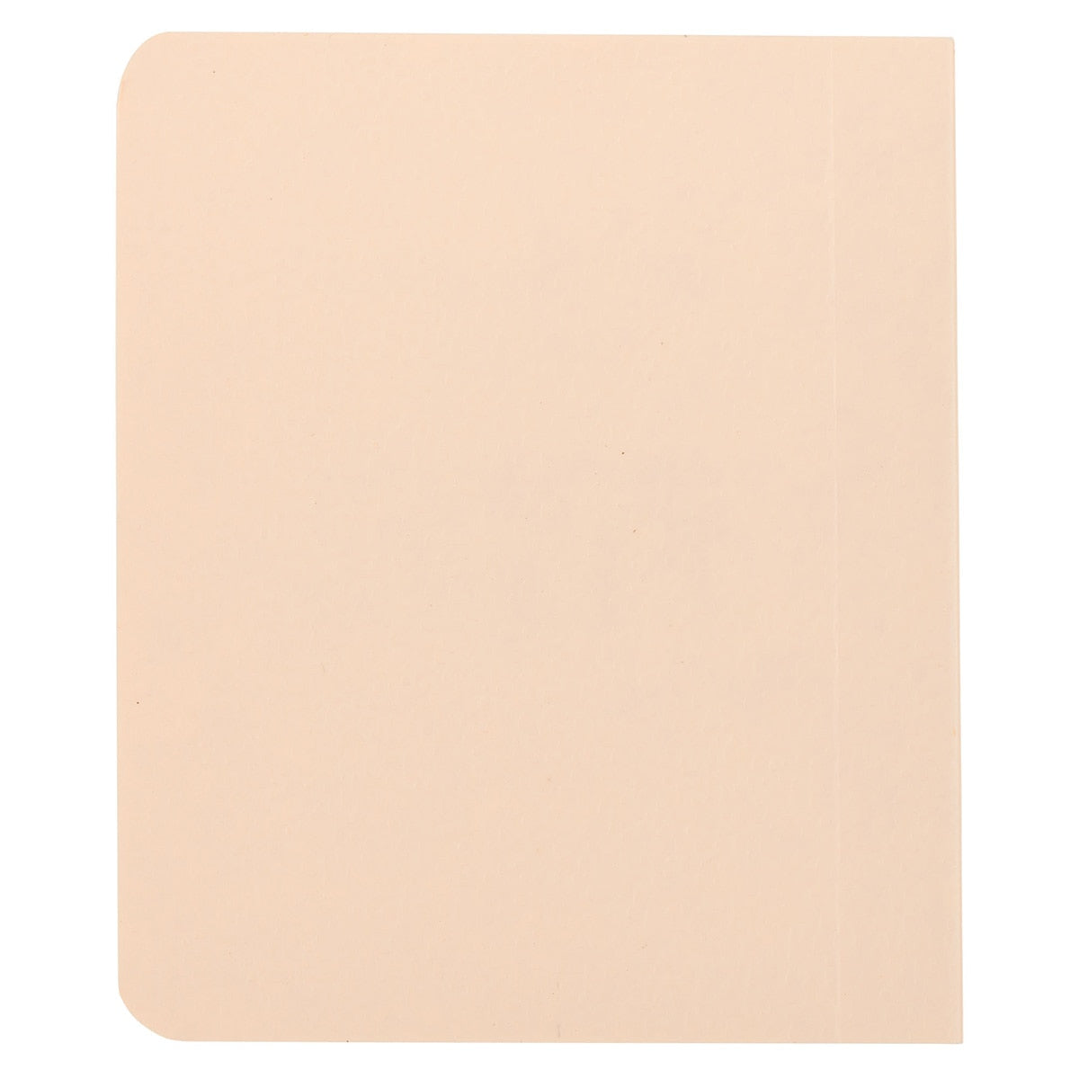 Light Taupe My Little Bible