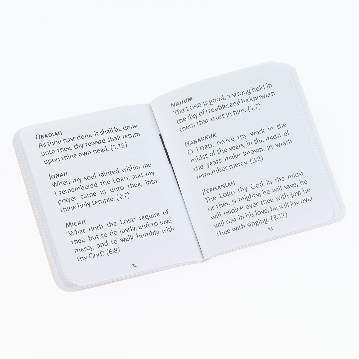 Light Taupe My Little Bible