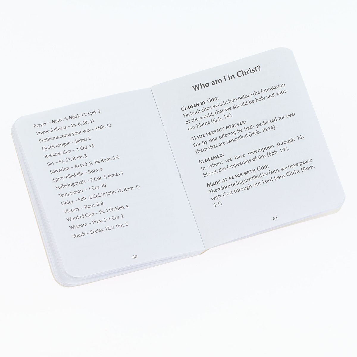 Light Taupe My Little Bible