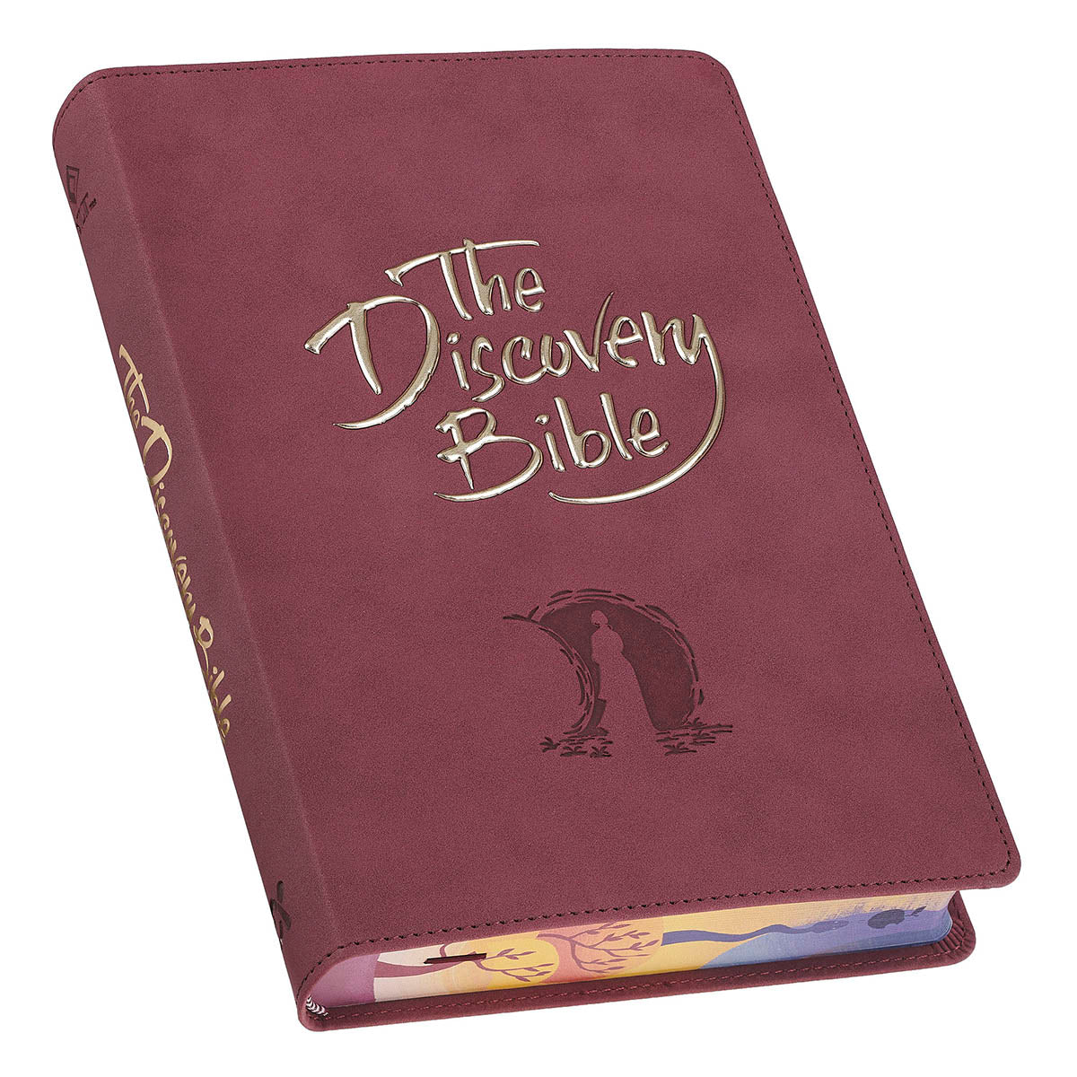 Velvet Rose Faux Leather Discovery Bible