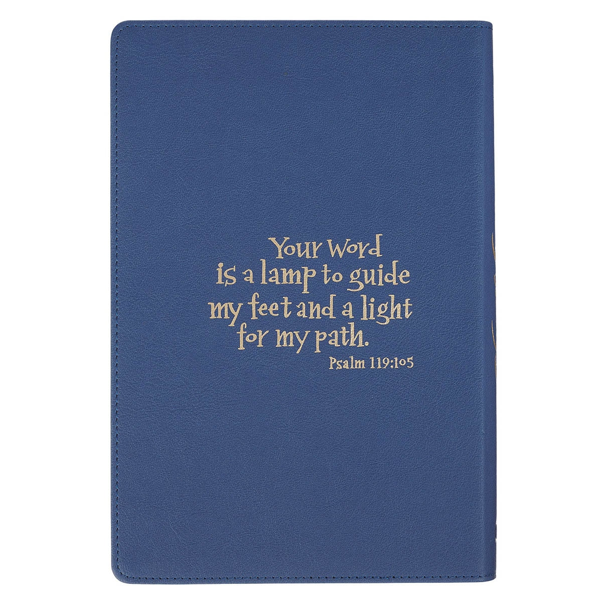 Blue Faux Leather Discovery Bible
