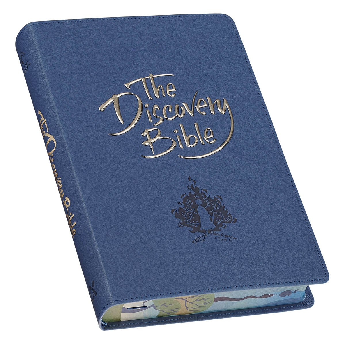Blue Faux Leather Discovery Bible